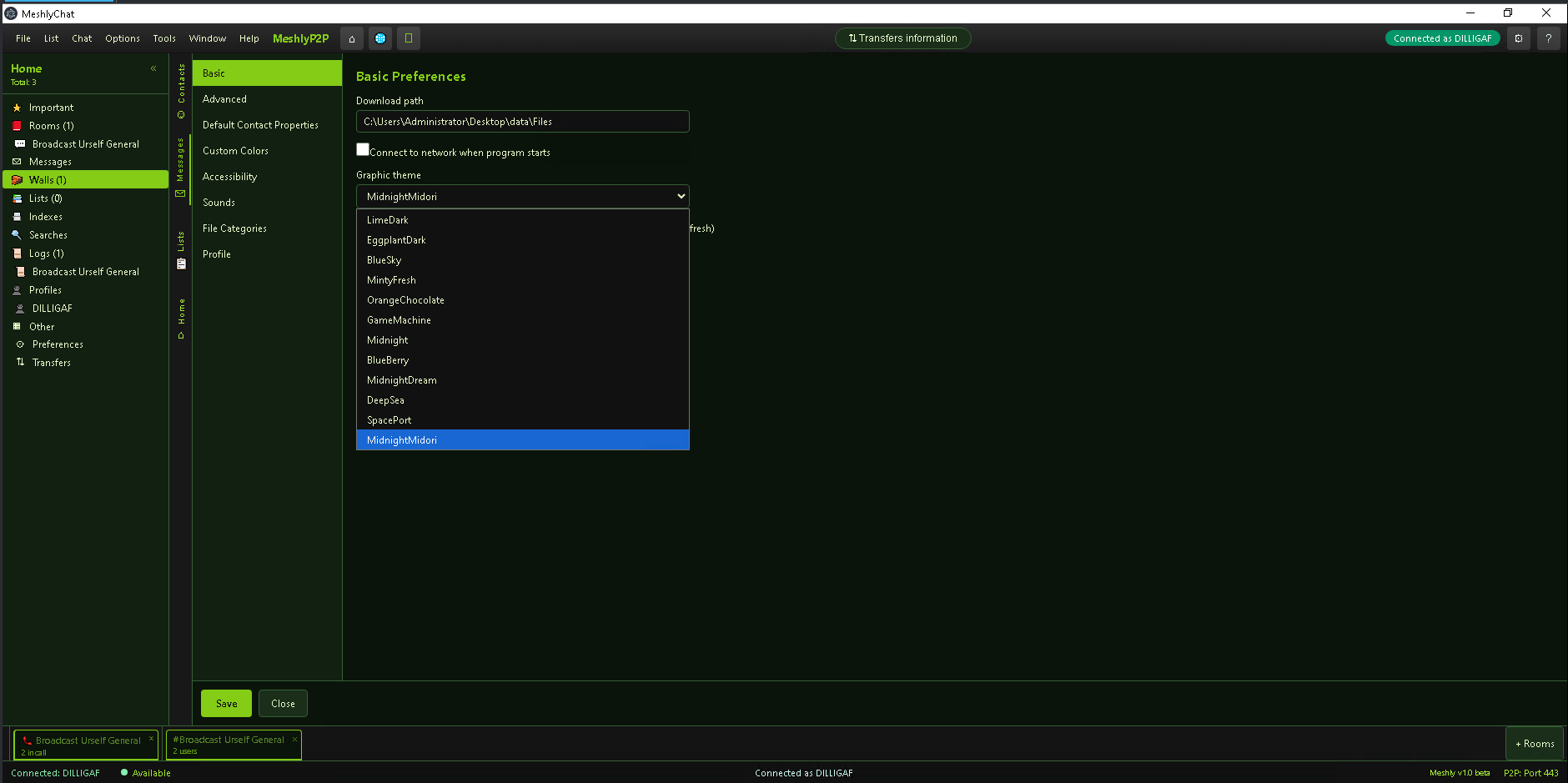 Preferences with graphic theme picker